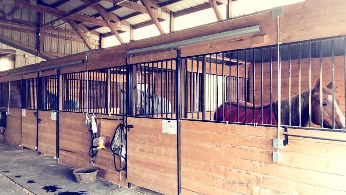 A horse stall.