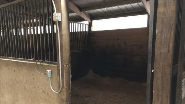 A regular horse stall.