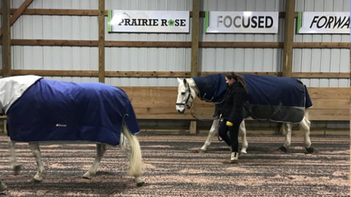 A caretaker hand walking a horse.