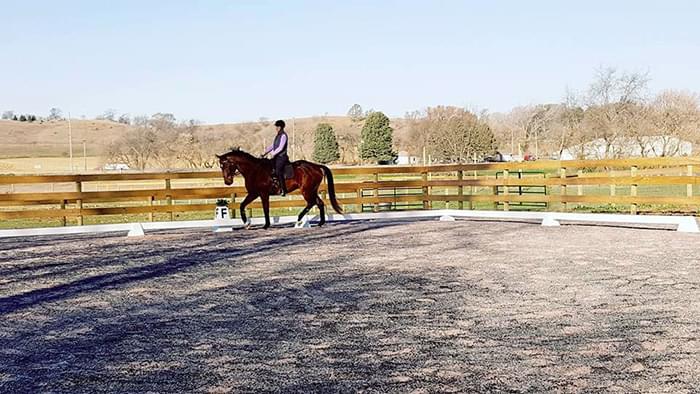 A dressage rider riding in an outdoor horse riding arena.