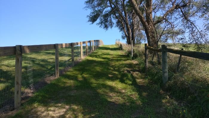 A horse riding alley.