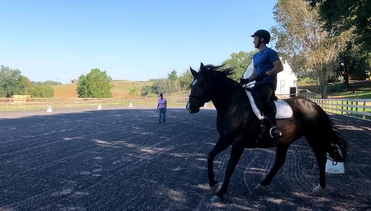 A horse rider in an arena riding English style.