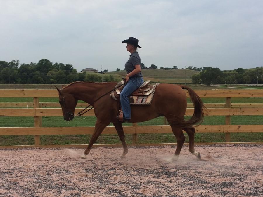 Horse Manager Jenny Linton ridng western style.