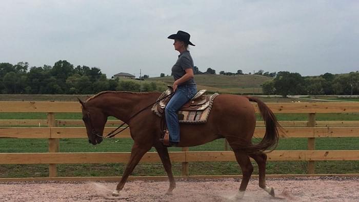 A horse rider in an arena riding English style.
